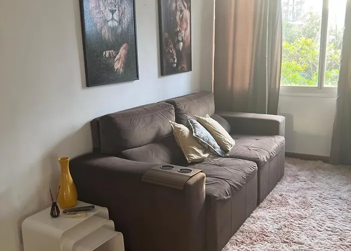 Apartamento Na Barra Da Tijuca 2 Quartos Com Ar Condicionado