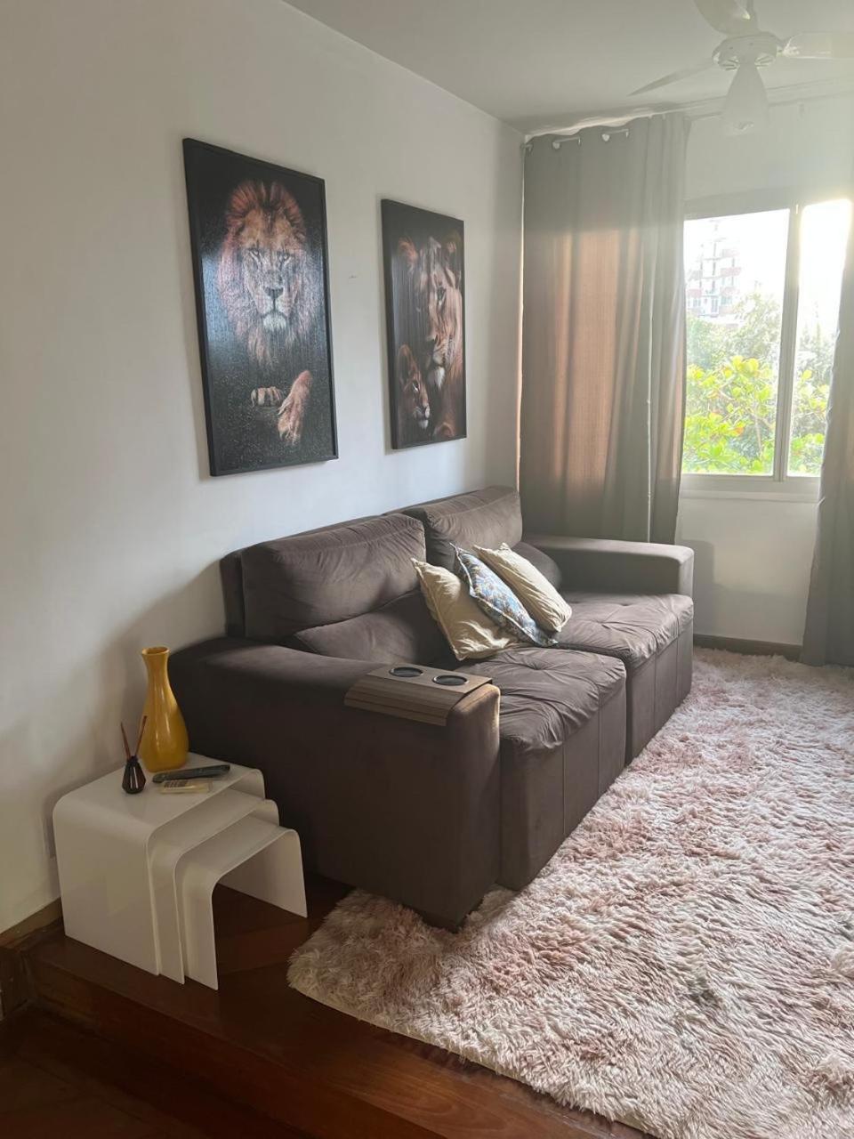 Apartamento Na Barra Da Tijuca 2 Quartos Com Ar Condicionado Apartamento